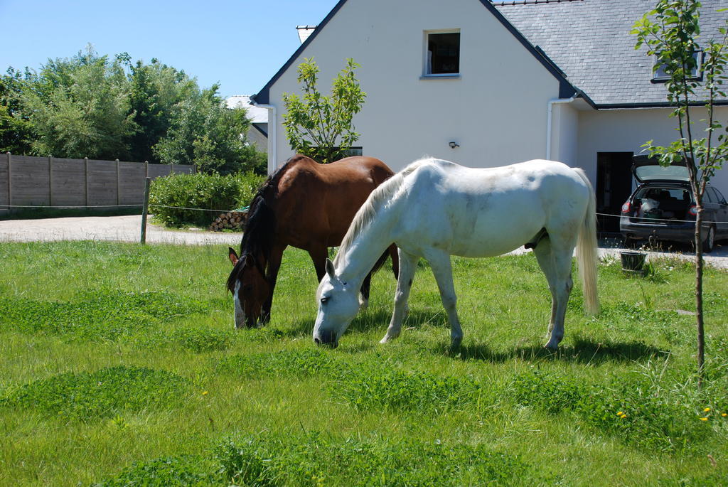 Roulotte Gites O Bien-Etre Massage Spa Sejour Bien-Etre En Hebergement Insolite Roulotte Karantez Ou En Gites Melon Ou Yock A 800 M Des Plages Maison D'Hote Drogou Porspoder Ruang foto