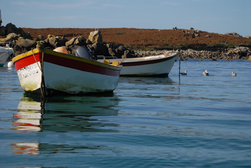 Roulotte Gites O Bien-Etre Massage Spa Sejour Bien-Etre En Hebergement Insolite Roulotte Karantez Ou En Gites Melon Ou Yock A 800 M Des Plages Maison D'Hote Drogou Porspoder Bagian luar foto
